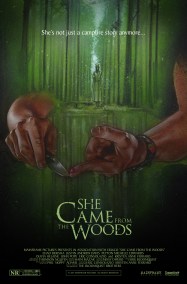 scftw_poster_01 (non-distressed)_no border.jpg