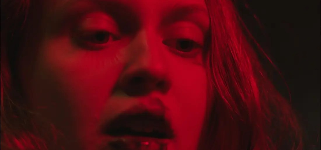 Video Vision Frightfest 2024 Review Bloody Flicks